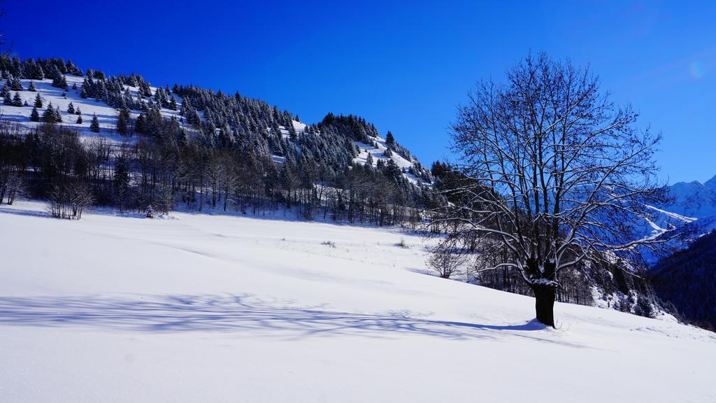 Residence Goelia Les Chalets Des Ecourts Saint-Jean-d'Arves Luaran gambar